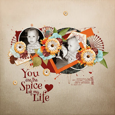 http://www.mscraps.com/galleri/showphoto.php?photo=71370&title=you-are-the-spice-of-m&cat=837