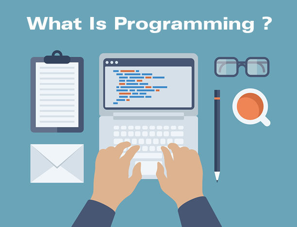 What Is Programming Bravo Developers