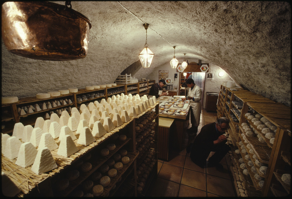My Two Cents What is a Cheese Cave, and when can I move in??