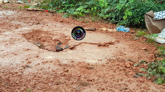 Polícia é acionada para possível encontro de cadáver humano, mas ossada era de cachorro