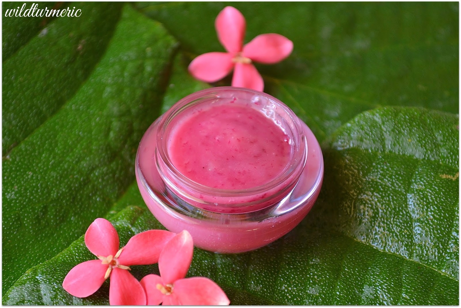 DIY How To Make Beetroot Lip Balm at Home For Pink Lips Dark Lips Remedy Wildturmeric