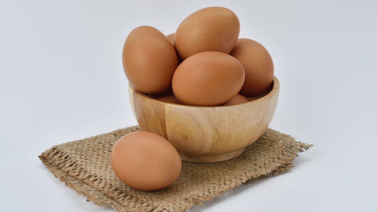 Memilih Telur Ayam Negeri dengan Cara Baik dan Benar Memilih Telur Ayam Negeri dengan Cara Baik dan Benar