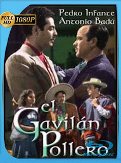 Pedro Infante El gavilán pollero (1951) HD [1080p] Latino [GoogleDrive] SXGO
