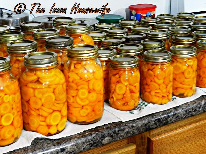 The Iowa Housewife Home Canned Carrots