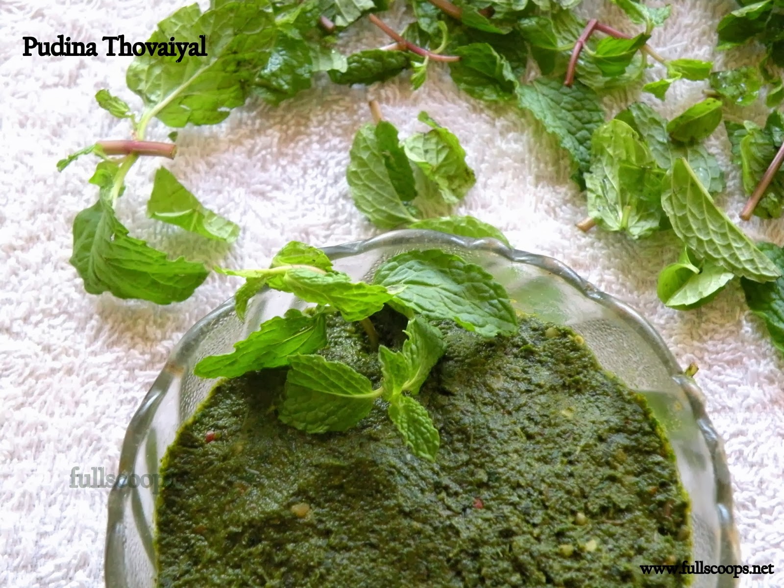 Mint Thogayal Recipe / Pudina Thovaiyal Recipe Full Scoops A food blog with easy,simple