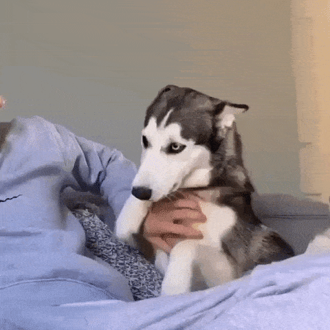 daily_gifdump_3313_03.gif