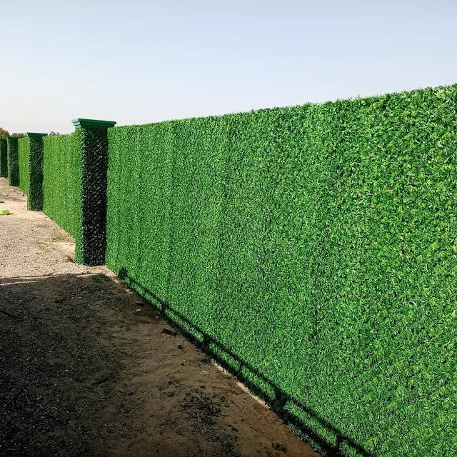 تركيب العشب الجداري في سلطنة عمان