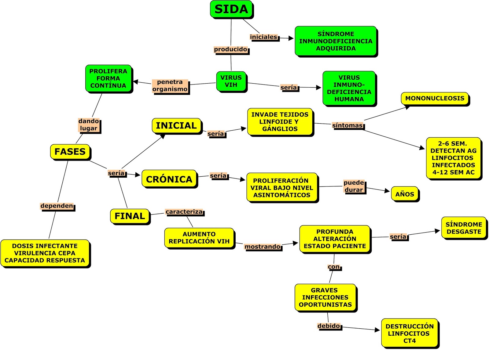 ментальная карта вирусы. ментальная карта вирусы. ментальная карта вирусы. интеллект карта по биологии по теме вирусы. интеллект карта по теме вирусы.
