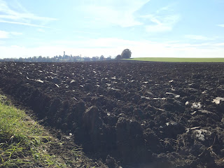 Blick auf Schondorf am Ammersee