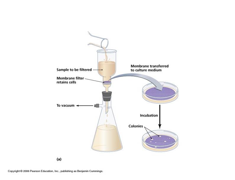 Merlins Micro World Water Analysis Membrane Filter Method
