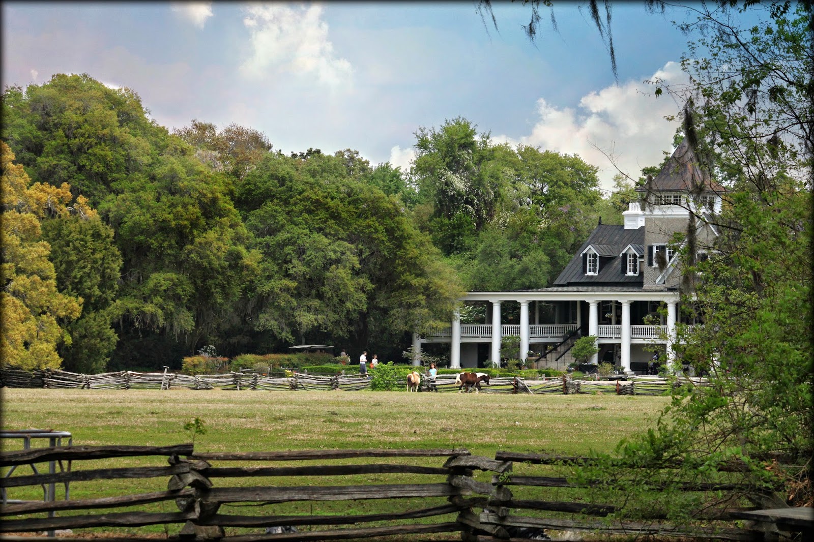 Through Carol's Lens Magnolia Plantation