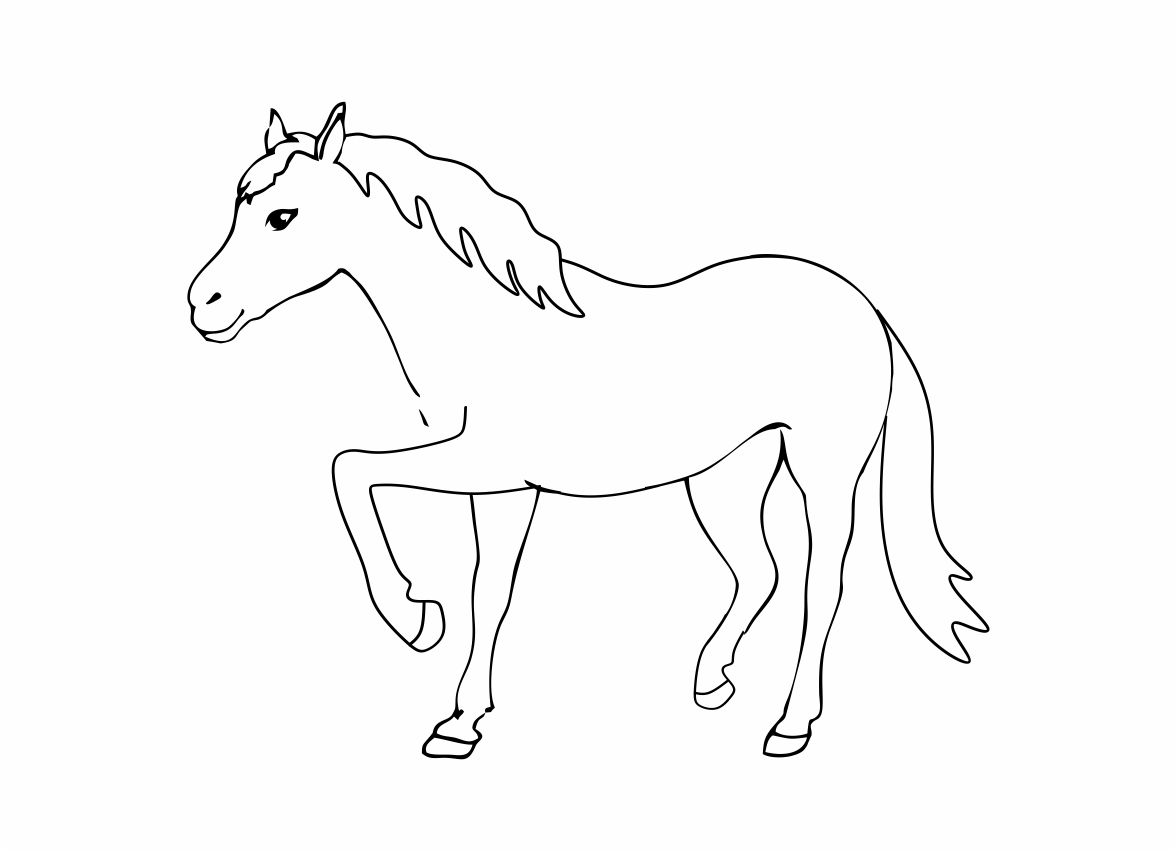 Karikaturku Indonesia 18 08 01 18 09 01