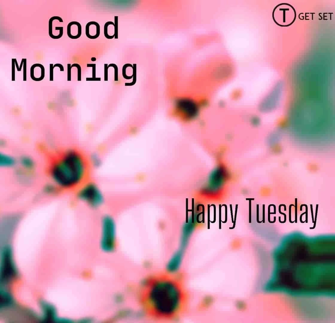 good morning tuesday