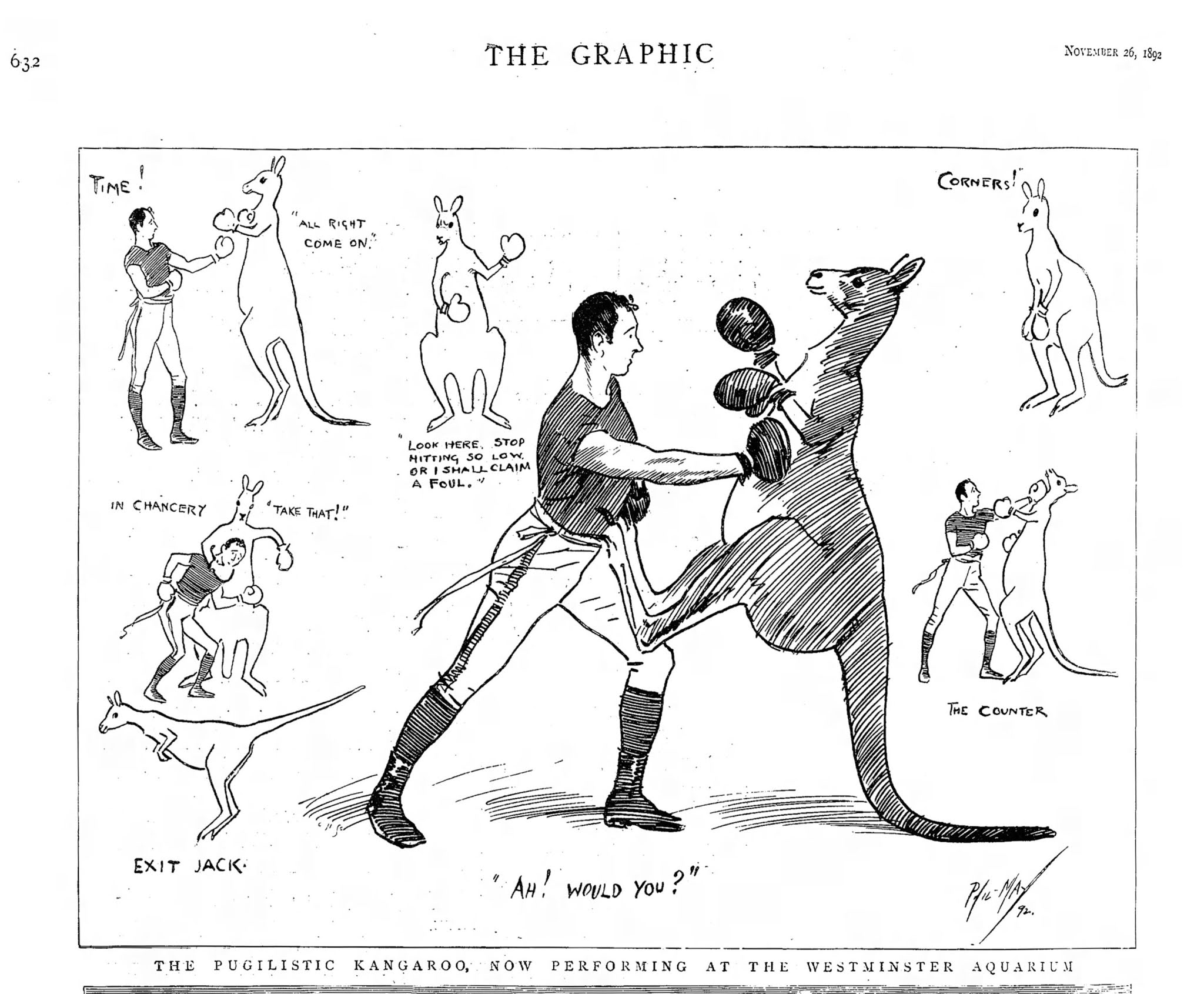Early Sports and Pop Culture History Blog Australia's Boxing Kangaroo