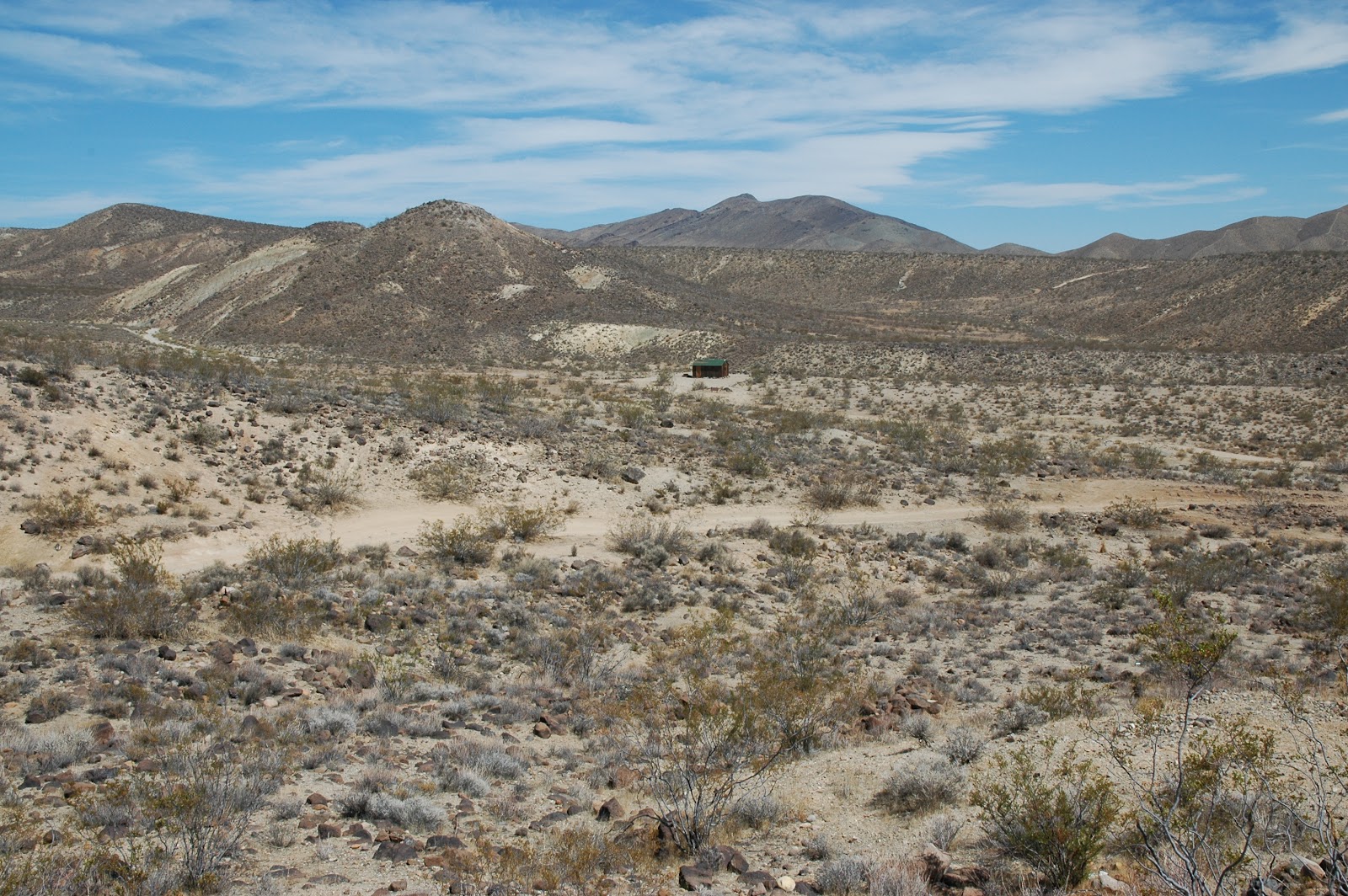 Mojave Desert Diary... Upper Bonanza Gulch, El Paso Mountains...