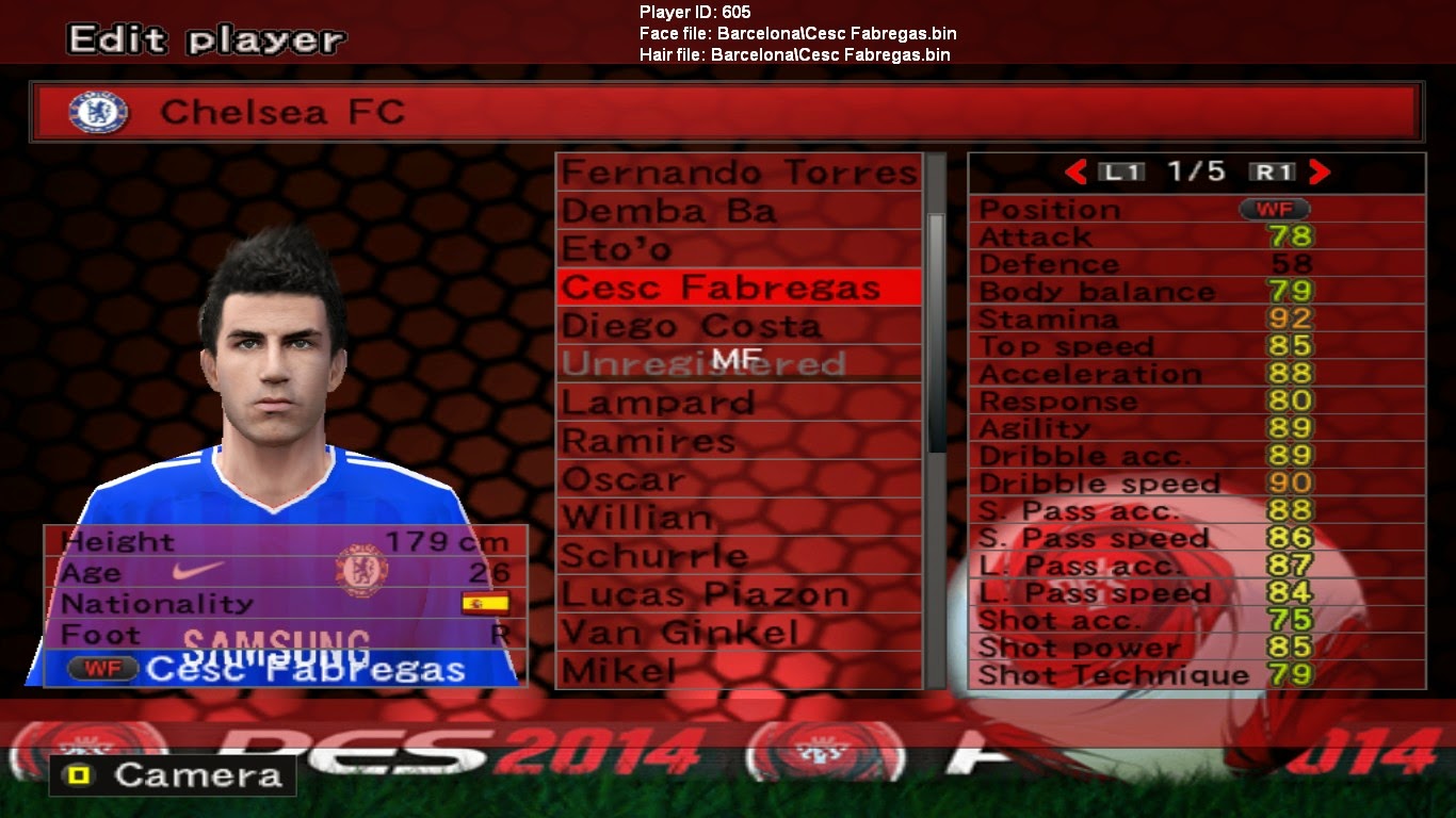 Pes