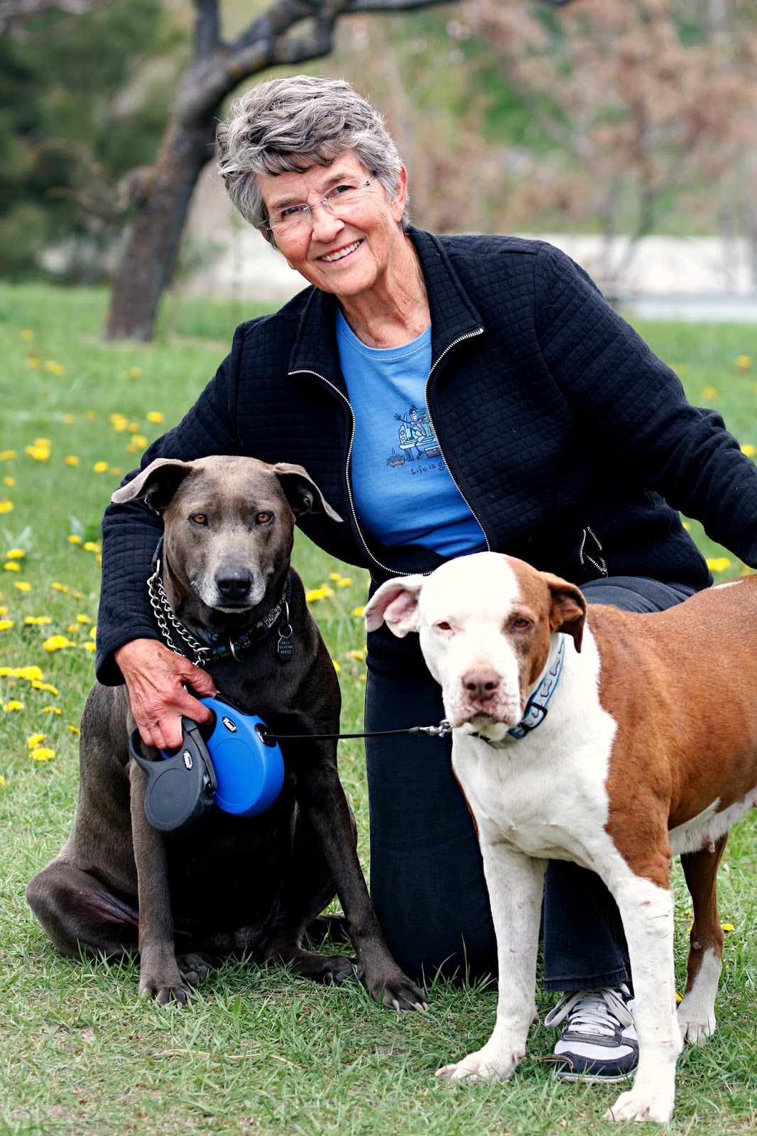 Orchard City Notes Front Porch Friends 1