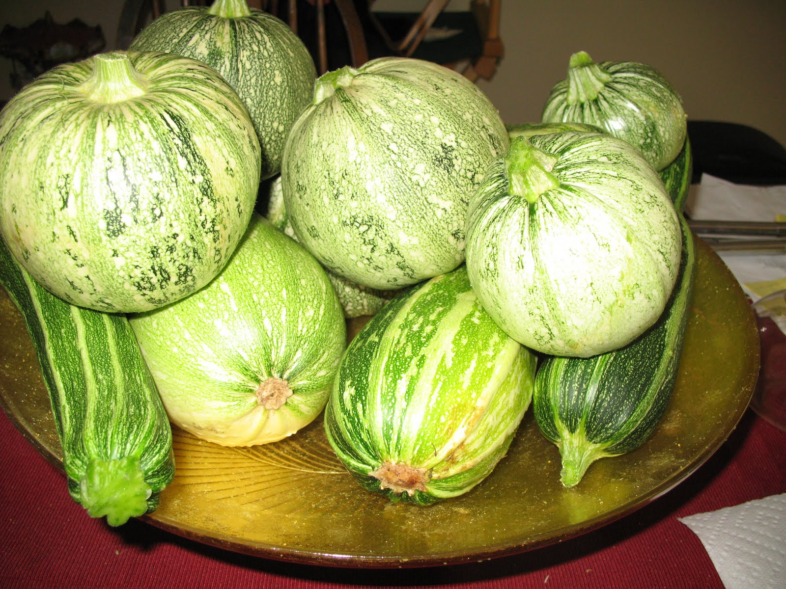 Gardens At Home Harvest Summer Squash