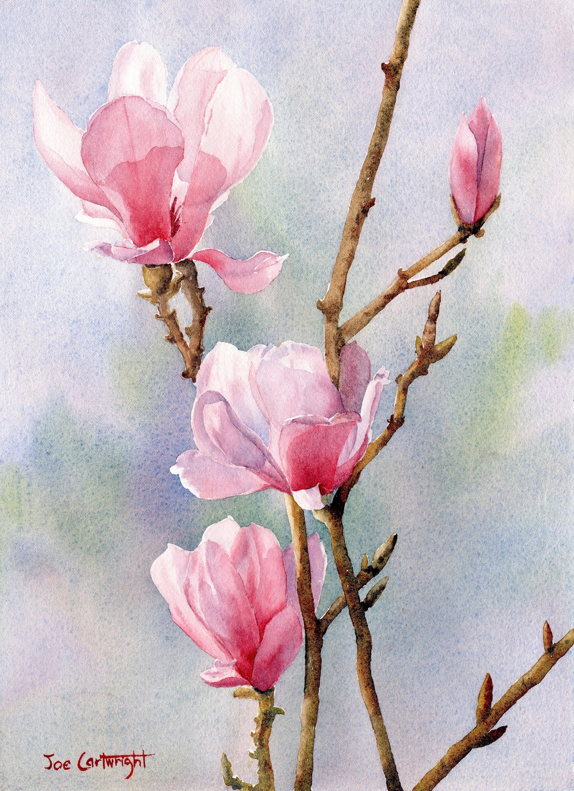 joe-cartwright-s-watercolor-blog-pink-magnolias