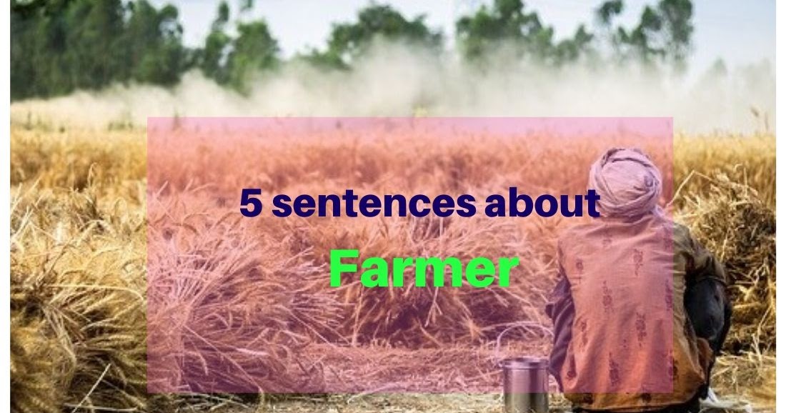 5 Sentences about Farmer 5 Lines on Farmer
