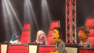 The Voice Three celebrity judges, Sesame Street Episode 4304 Baby Bear Comes Clean