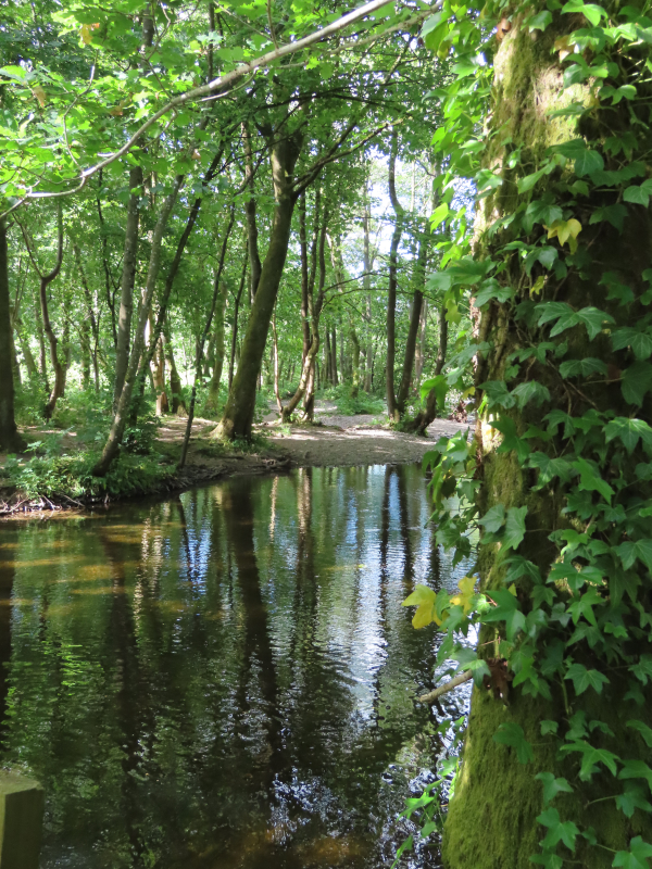 B's Photos Laggan Hill Walk (Crieff, Perthshire, Scotland)