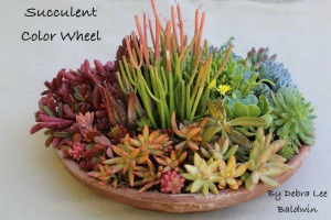 Suculentas según Debra Lee Baldwin