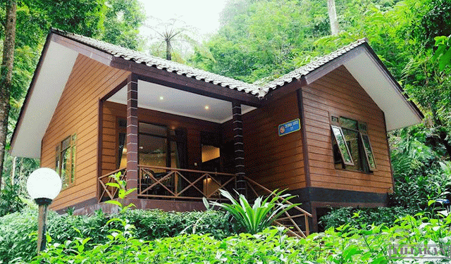 Safari-Lodge