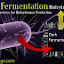 Dark Fermentation - The Best Bioprocess for Biohydrogen Production (#biochemistry)(#biotechnology)(#ipumusings)(#biohydrogen)