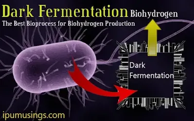 Dark Fermentation - The Best Bioprocess for Biohydrogen Production (#biochemistry)(#biotechnology)(#ipumusings)(#biohydrogen)