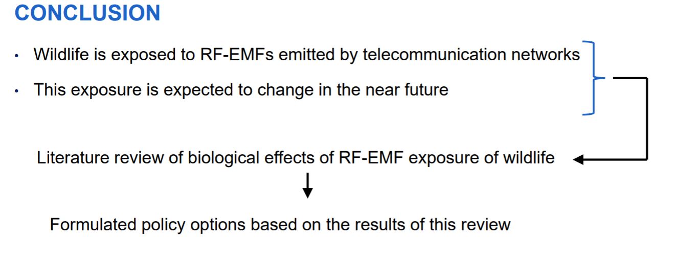 Electromagnetic Radiation Safety: European Parliament: 5G Health Effects  and Environmental Impacts