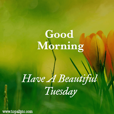 good morning tuesday images good morning tuesday images