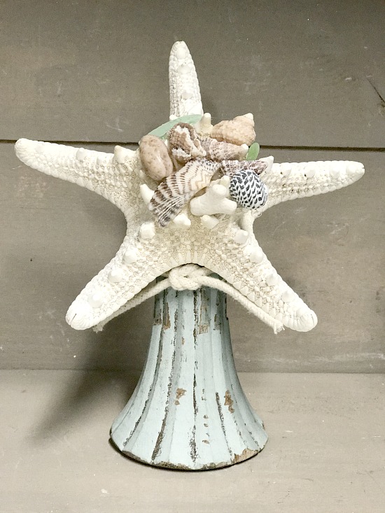 starfish with small beach shells