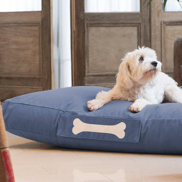 NOSSOS FIÉIS COMPANHEIROS