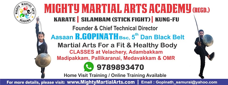 Mighty Martial Arts Academy (Registered)