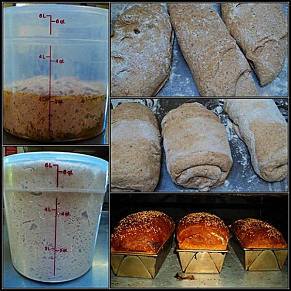 Whole Wheat Ezekiel Bread Recipe