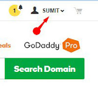 domain name forwarding