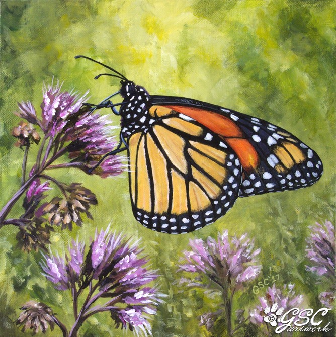 monarch butterfly acrylic painting wildlife insect bug flower art