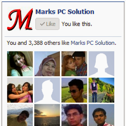 Facebook Like Box by Marks PC Solution
