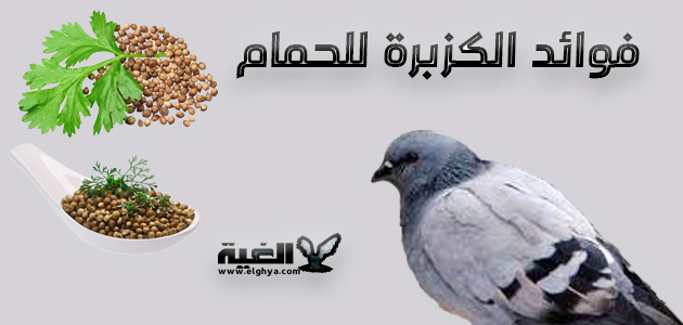 كتب طبية ملف رائع عن المضادات الحيوية رابط التحميل Facebook