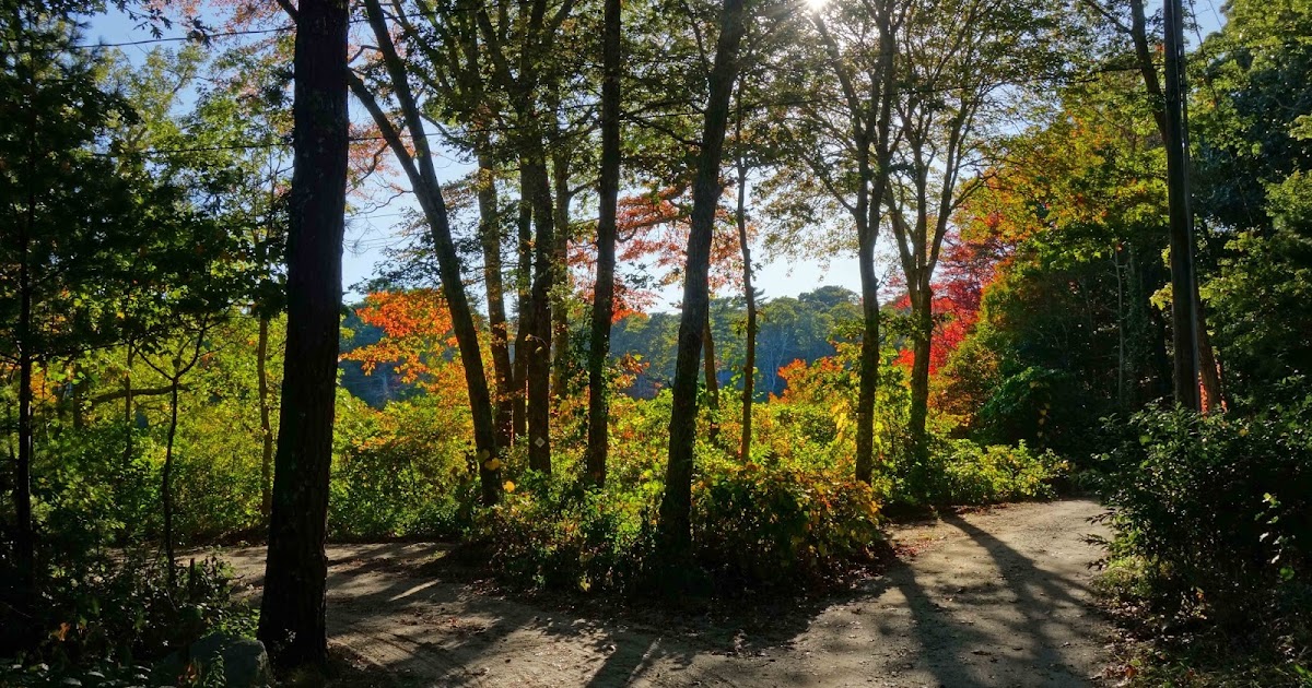 Joe's Retirement Blog A Touch of Fall at Rabbit Pond, Manomet