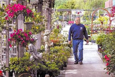 Author Joyce Oroz The Allure Of Alladin Alladin Nursery Was Founded In 1919 By Niels Peter Jensen Of Denmark And 1946 Purchased Ben Dorothy Roth The Roths Grew Whole Bedding