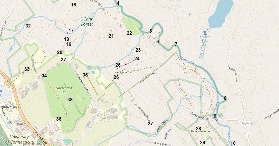 Uconn Forest Trail Map David Reik And Judith Lohman Pictures: 2019-3-9, Uconn Forest Area, Storrs,  Ct
