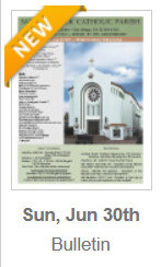 https://parishesonline.com/find/pastor-of-saint-patrick-catholic-parish-san-diego-california-corporation-sole/bulletin/file/05-0628-20190630B.pdf
