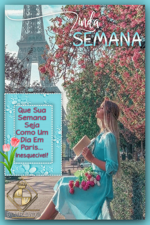 NOVO50-%2528MB%2529maryluz.gif