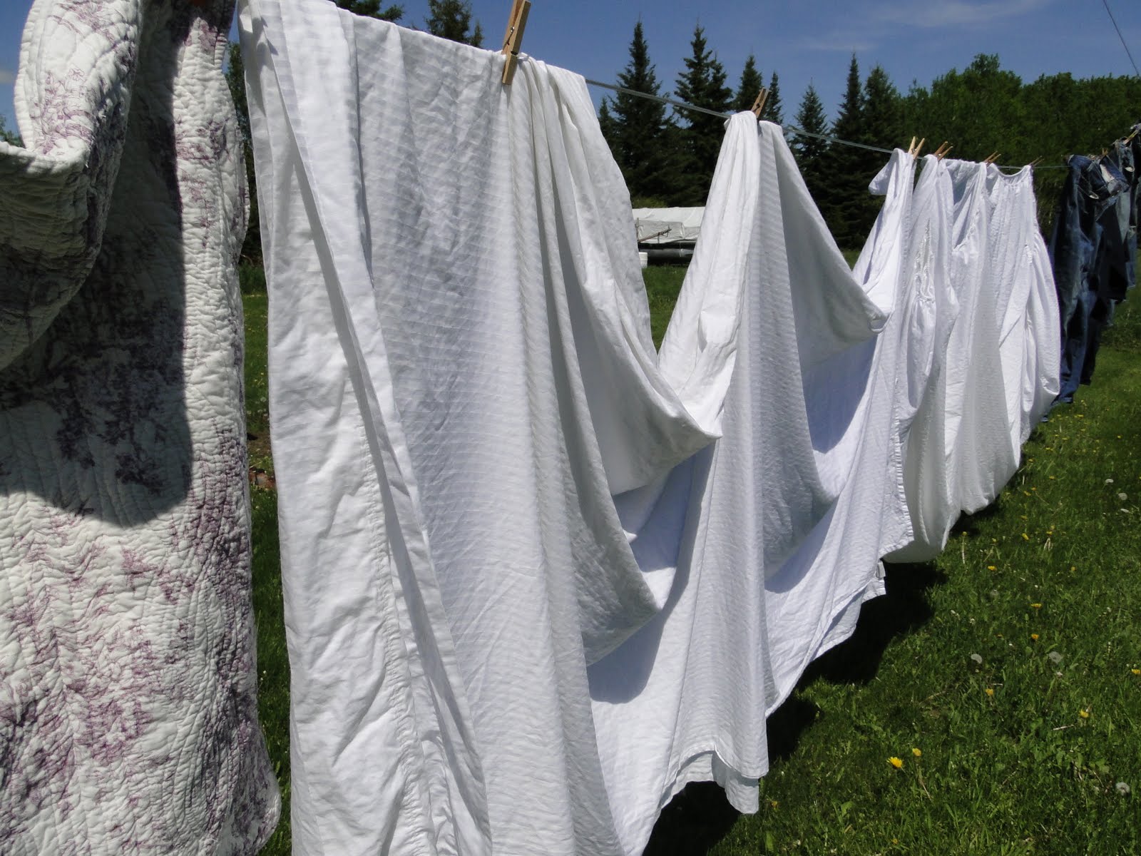 From Nature to Home Simple Pleasures Hanging Sheets out to Dry..