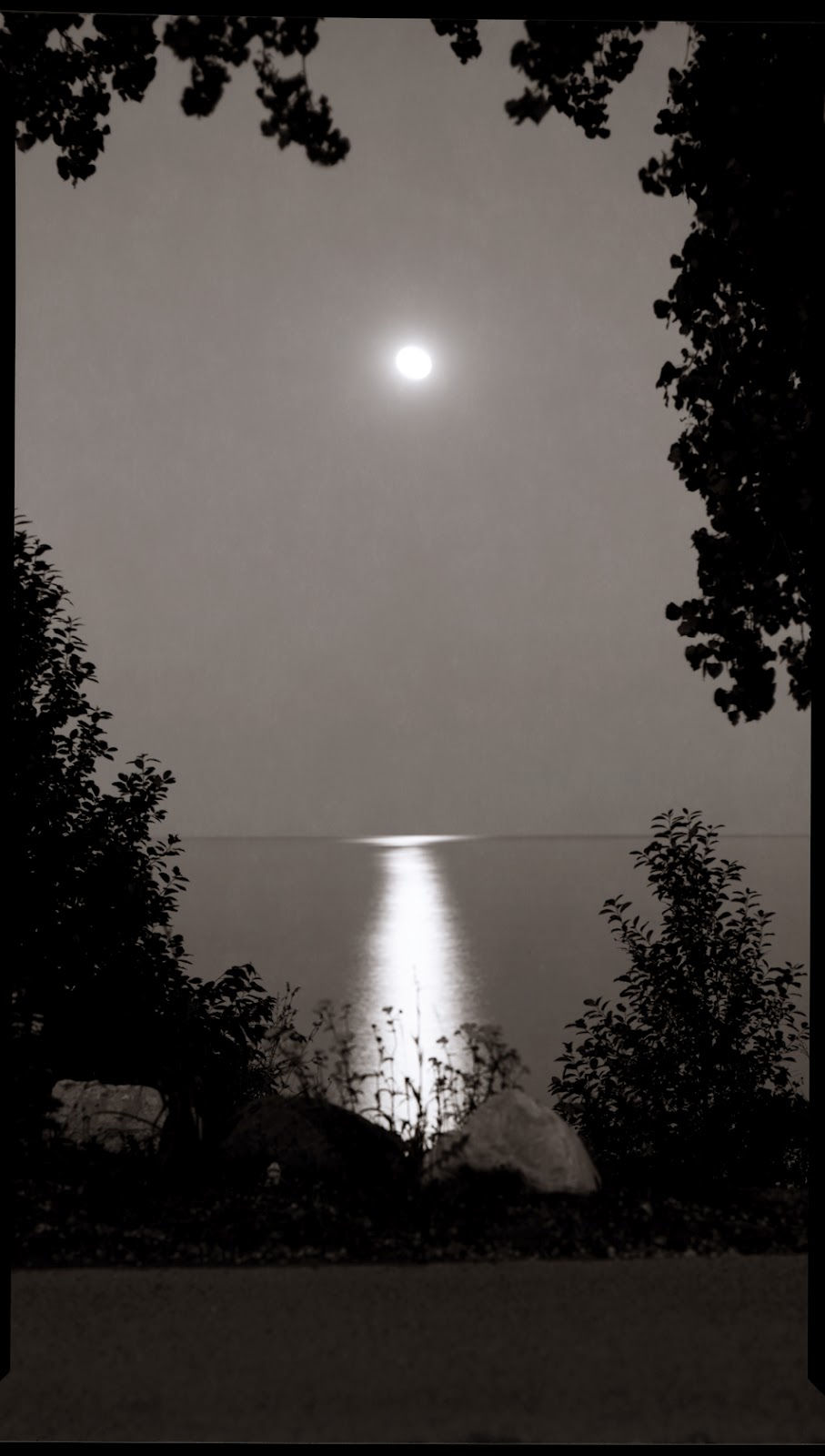 Site de rencontre femme ronde quebec