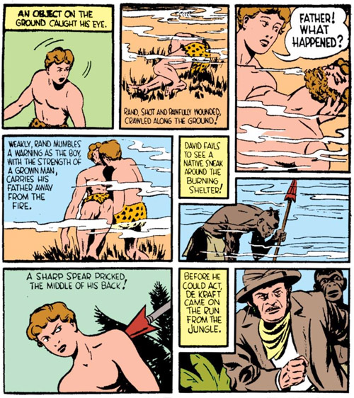 The role of everyone's bathing suits will now be played by that leopard the dad killed