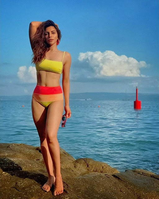 Model cum actress SHAMA SHIKANDER stills in bikini
