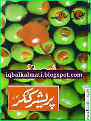 pressure siddique cooker salik urdu novel pdf